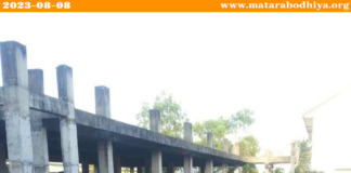 වල් පැලෑටි වලින් පිරුණු ගොඩනැගිල්ලක් පිළිකා වාට්ටු සංකීර්ණයක් බවට පත් විය