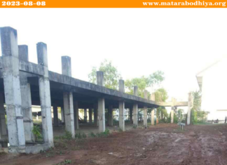 වල් පැලෑටි වලින් පිරුණු ගොඩනැගිල්ලක් පිළිකා වාට්ටු සංකීර්ණයක් බවට පත් විය